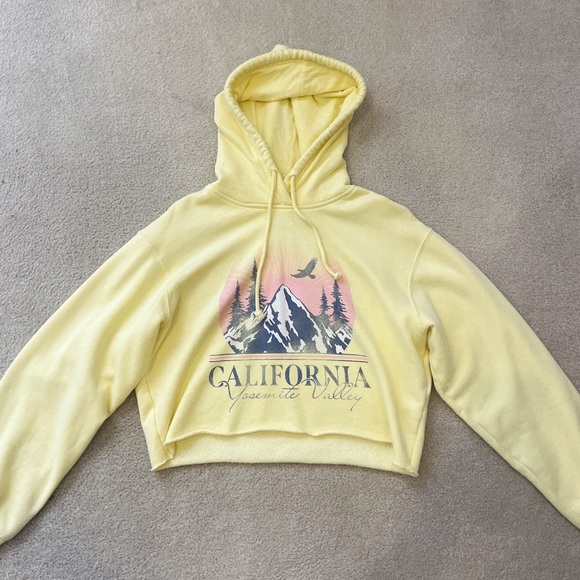 Hollister Tops - Hollister Cropped Hoodie